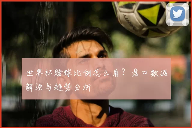 世界杯赌球比例怎么看？盘口数据解读与趋势分析