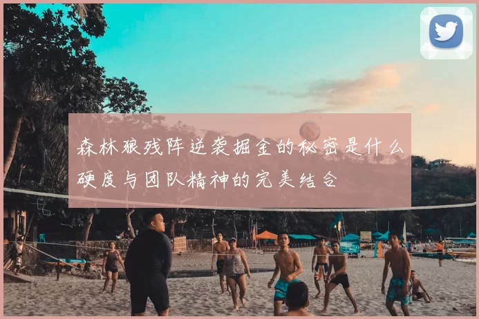 森林狼残阵逆袭掘金的秘密是什么硬度与团队精神的完美结合