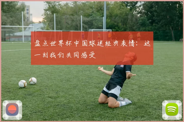 盘点世界杯中国球迷经典表情:这一刻我们共同感受