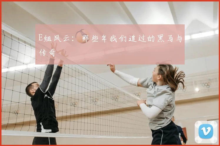 E组风云：那些年我们追过的黑马与传奇