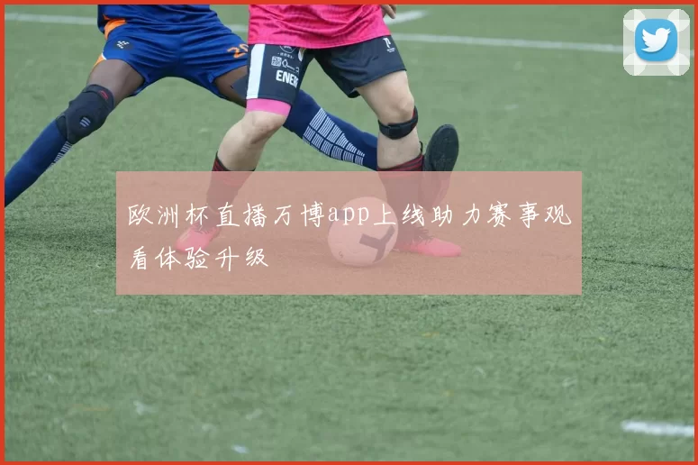 欧洲杯直播万博app上线助力赛事观看体验升级