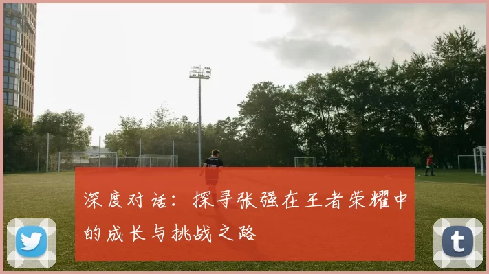 深度对话：探寻张强在王者荣耀中的成长与挑战之路