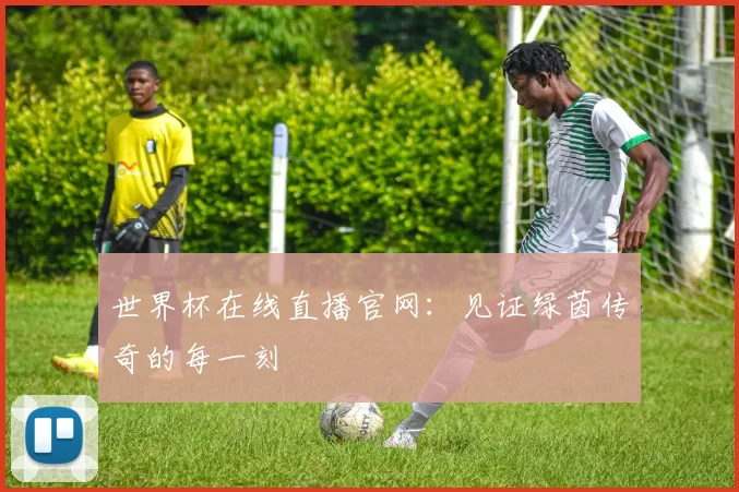 世界杯在线直播官网：见证绿茵传奇的每一刻