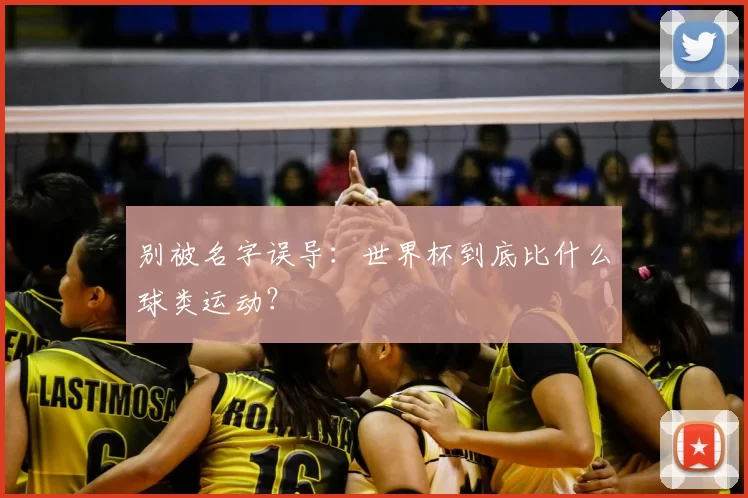 别被名字误导：世界杯到底比什么球类运动？