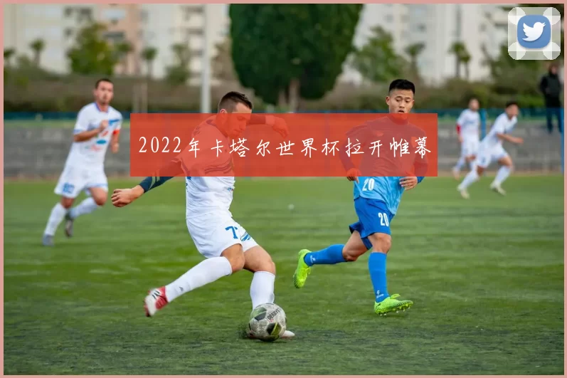 2022年卡塔尔世界杯拉开帷幕