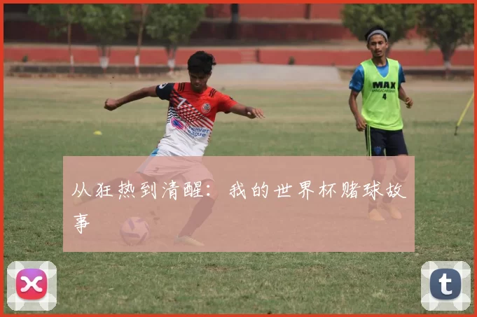 从狂热到清醒：我的世界杯赌球故事
