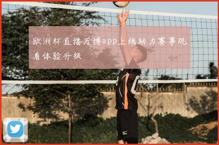 欧洲杯直播万博app上线助力赛事观看体验升级