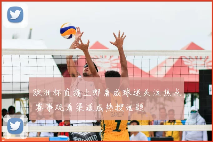 欧洲杯直播上哪看成球迷关注焦点 赛事观看渠道成热搜话题